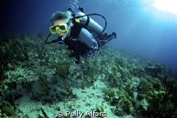 Canon Rebel T5i/700D, fisheye lens, Nauticam housing, dua... by Polly Alford 